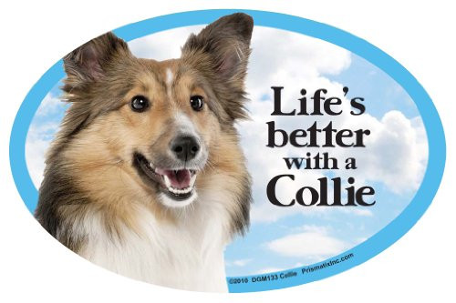 Prismatix Collie Oval Dog Magnet for Cars