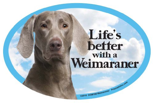 Prismatix Weimaraner Oval Dog Magnet for Cars
