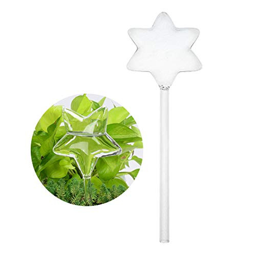 WDDH Plant Waterer Self Watering Globes, Star Shape Potted Plant Watering Spike, Hand Blown Clear Glass Plant Water Bulbs for Indoor and Outdoor WDDH Plant Waterer Self Watering Globes, Star Shape Potted Plant Watering Spike, Hand Blown Clear Glass Plant Water Bulbs for Indoor and Outdoor