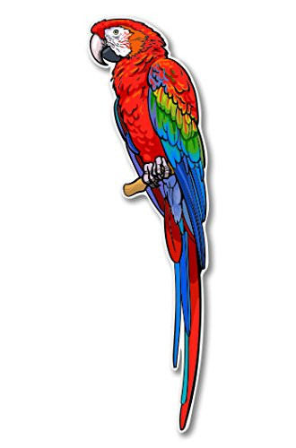 AK Wall Art Red Macaw Beautiful Tropical Bird Vinyl Sticker - Car Window Bumper Laptop - Select Size