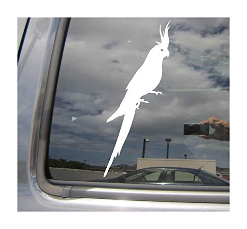 Right Now Decals Cockatiel Bird - Cars Trucks Moped Helmet Hard Hat Auto Automotive Craft Laptop Vinyl Decal Store Window Wall Sticker 01275