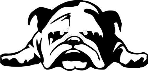 Cute Tired Bulldog Vinyl Decal Sticker for Home Office Decor Vehicle Window Sign Size- 8 inch / 20 cm Wide Color- Gloss White