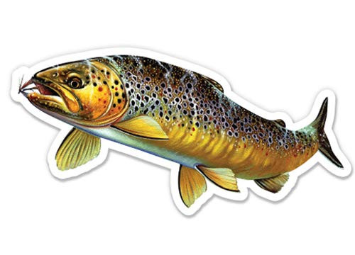 GT Graphics Brown Trout - 5inch  Vinyl Sticker - For Car Laptop I-Pad - Waterproof Decal