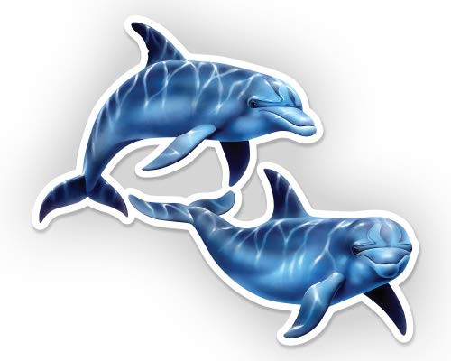 GT Graphics Express Dolphins - 5inch  Vinyl Sticker - for Car Laptop I-Pad - Waterproof Decal