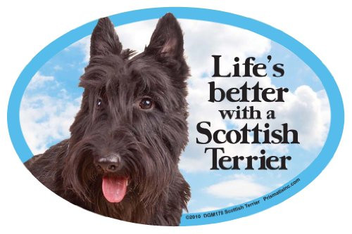 Prismatix Scottish Terrier Oval Dog Magnet for Cars