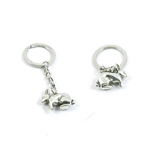 1 PCS Rabbit Hare Keychain Keyring Jewelry Making Charms Door Car Key Tag Chain Ring C6AQ0T