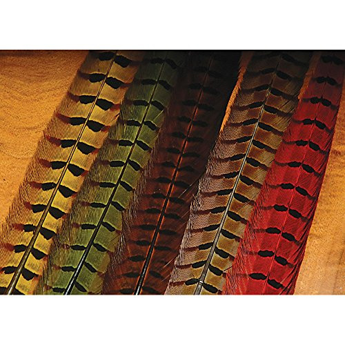Hareline Dubbin Fly Tying Material - Ringneck Pheasant Tail Feather