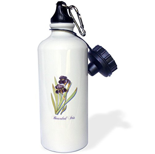 3dRose Bearded Iris, Botanical Print of Dark Purple Flowers with Orange-Sports Water Bottle, 21oz (wb_171212_1)), 21 oz Multicolored