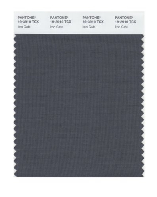 Pantone 19-3910 TCX Smart Color Swatch Card, Iron Gate