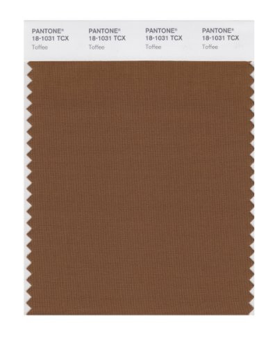 PANTONE SMART 18-1031X Color Swatch Card, Toffee