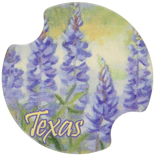 Thirstystone D119RTX Carster Bluebonnets Texas Coasters, Multicolor