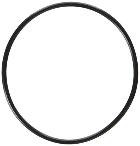 Waterway Plastics 806105129666 Serviceable Swing Check Valve Cover O-Ring