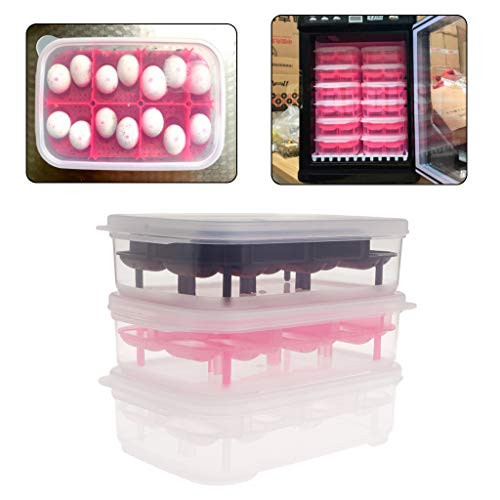 Reptile Egg Incubator 14 Slots Professional Transparent Cover for Lizard Snake Gecko Eggs Hatcher Hatching Box Case Tray Plastic Supplies