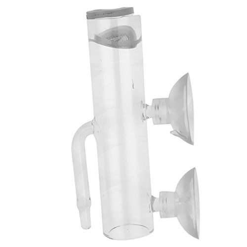 freneci Glass Shrimp Egg Hatcher Incubator Aquarium Hatchery Shrimp Eggs Hatch