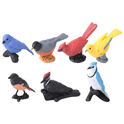 NUOBESTY Realistic Bird Animals Figurines Plastic Tropical Bird Figures Toy Set Educational Toy Cake Toppers Birthday Gift for Kids Toddlers NUOBESTY Realistic Bird Animals Figurines Plastic Tropical Bird Figures Toy Set Educational Toy Cake Toppers Birthday Gift for Kids Toddlers
