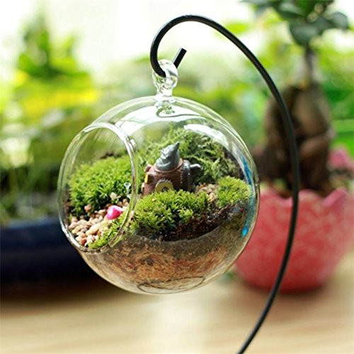 SZBYKJ Micro Landscape Glass Vase, Hanging Terrarium for Air Succulent Plants, Hanging Flowerpot Container, Hanging Terrarium for Air Succulent Plants