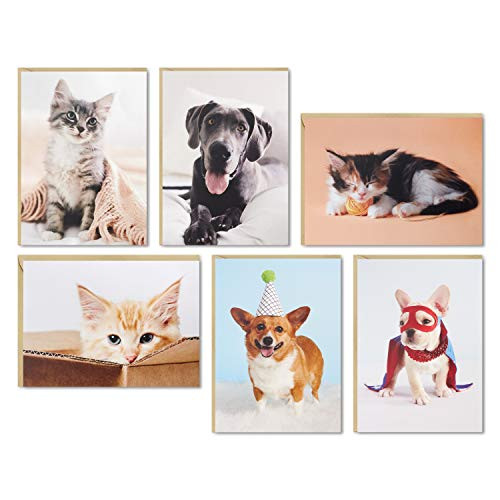Hallmark Blank Cards Assortment, Dog and Cat Photos 36 Assorted Note Cards with Envelopes