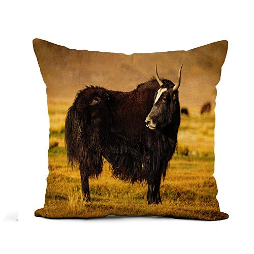 Awowee Flax Throw Pillow Cover Brown Wild Yak on Pasture in The Pamir Mountains 18x18 Inches Pillowcase Home Decor Square Cotton Linen Pillow Case Cushion Cover Awowee Flax Throw Pillow Cover Brown Wild Yak on Pasture in The Pamir Mountains 18x18 Inches Pillowcase Home Decor Square Cotton Linen Pillow Case Cushion Cover