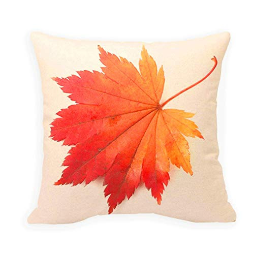 SPXUBZ Autumn Red Maple Leaf Fall Pillow Cover Decorative Home Decor Nice Gift Square Indoor Pillowcase Size 22x22 InchTwo Sides