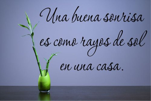 UNA Buena sonrisa ES Como rayos de sol en UNA casa. Spanish Vinyl Wall Decals Quotes Sayings Words Art Decor Lettering Vinyl Wall Art Inspirational Uplifting