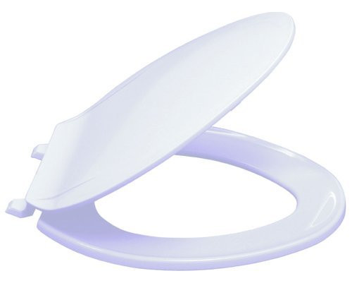 EZ-FLO 65903 Plastic Toilet Seat with Lid