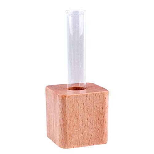 GARNECK Glass Test Tube Vase Flower Pots with Wood Base Hydroponic Glass Vase Desktop Plant Terrarium Planter for Terrariums Hydroponics Plants Style 1 GARNECK Glass Test Tube Vase Flower Pots with Wood Base Hydroponic Glass Vase Desktop Plant Terrarium Planter for Terrariums Hydroponics Plants Style 1