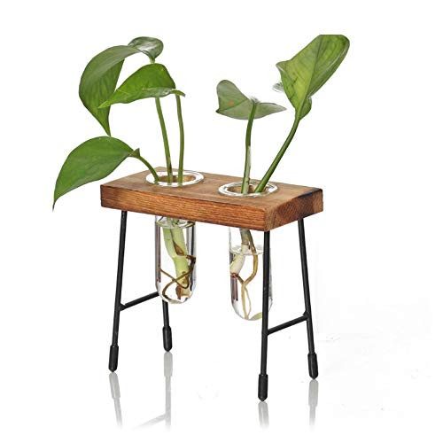 RTWAY Glass Test Tube Hydroponics Vase, Tabletop Flower Bud Vase Glass Plant Terrariums Container with Wooden Stand for Hydroponics Plants 2 Test Tube RTWAY Glass Test Tube Hydroponics Vase, Tabletop Flower Bud Vase Glass Plant Terrariums Container with Wooden Stand for Hydroponics Plants 2 Test Tube