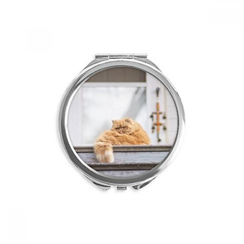 Animal Fat Garfield Cat Photograph Hand Compact Mirror Round Portable Pocket Glass