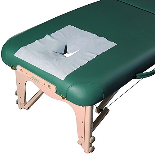 Master Massage Disposable Breathing Space Sheet Cover (Pack of 100) for Massage Table