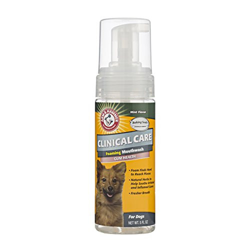 Arm & Hammer Clinical Pet Care Dental Foaming Mouthwash for Dogs | Soothes Inflamed Gums, 5 ounces, Mint Flavor