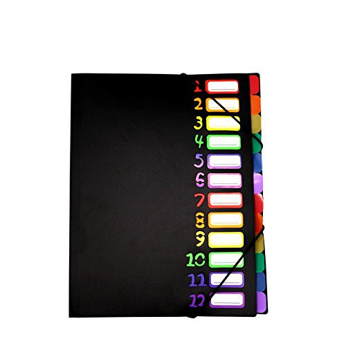 12 Pocket Expanding Project Sorter - Heavy Duty Plastic Expandable Folder Organizer, notebook Folders Organizational, Letter Size