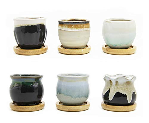goldblue Flowing Glaze Black and White Base Ceramic Succulent Plant Pot with Bamboo Drip Tray Cactus Plant Pot Flower Pot Container Planter 2.5 Inch-6Pack