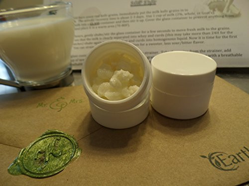 Milk Kefir Grains Fresh Mr  and  Mrs. Kefir