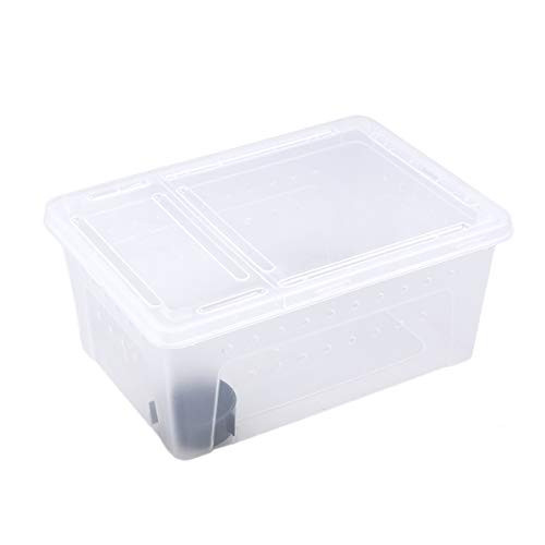 POPETPOP Reptiles Feeding Box Breeding Box Storage Case Amphibians Hatching Plastic Container for Spider Insect Snake White POPETPOP Reptiles Feeding Box Breeding Box Storage Case Amphibians Hatching Plastic Container for Spider Insect Snake White