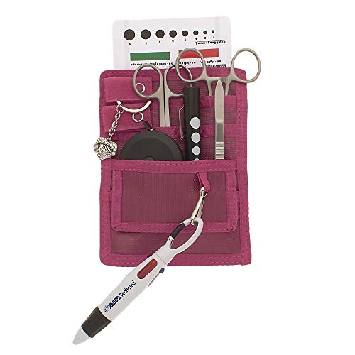 4 Pockets Nurse Organizer Pouch, Stainless Steel plus  Black Tools - Medical Instrument Organizer w/Lister Scissors, LED Penlight, Eye Chart, Chart Pen plus  More - AsaTechmed Dark Pink