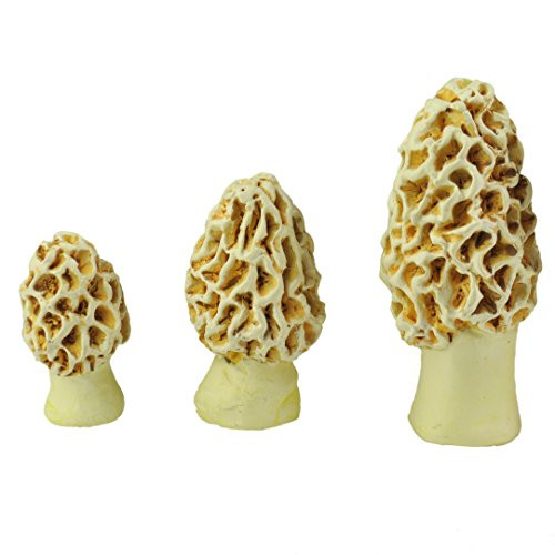Georgetown Home  and  Garden Miniature Morel Esculenta Mushrooms Assorted Garden Decor, Set of 3