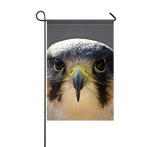DongGan Garden Flag Peregrine Falcon Bird Head Beak 12x18 InchesWithout Flagpole