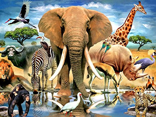 Ceaco Harmony Collection African Oasis Puzzle (550 Piece)