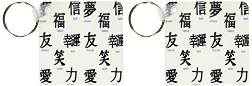 3dRose Chinese Symbols - Key Chains, 2.25 x 4.5 inches, set of 2 (kc_1159_1)