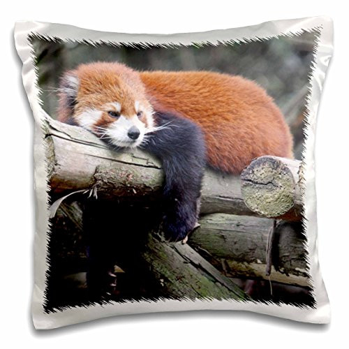 3D Rose Adorable Red Panda-Sichuan Province-China Design Pillowcase, 16inch  x 16inch