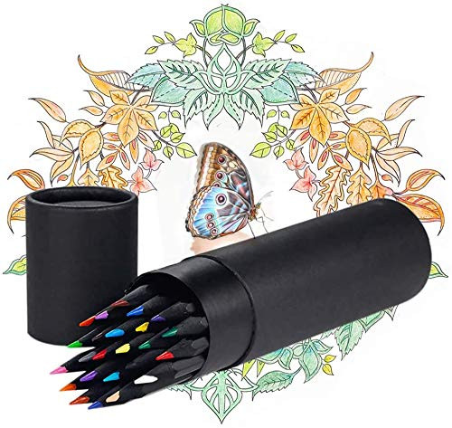 Colored Pencils Set, 24 Pre-sharpened Oil Based Colored Pencils for Adults Coloring,Professionals Sketching,Kids Doodling PaintingArtist Drawing,Holiday Gifts