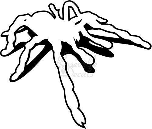 Tarantula Spider Shadow Vinyl Decal Sticker for Home Office Decor Vehicle Window Sign Size- 12 inch / 30 cm Wide Color- Matte Black