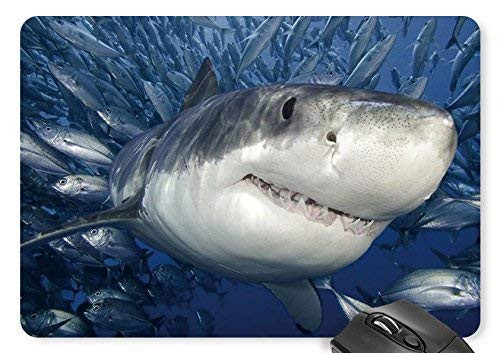 BGLKCS A Big Shark Mouse Pad 11.8x9.8 inches