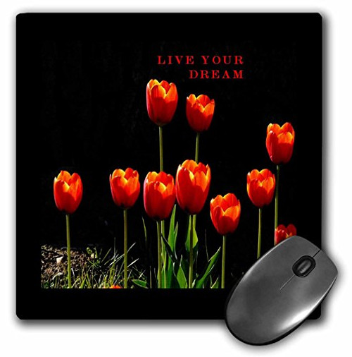 3dRose LLC 8 x 8 x 0.25 Red Tulips On Black Mouse Pad (mp_80533_1) 3dRose LLC 8 x 8 x 0.25 Red Tulips On Black Mouse Pad (mp_80533_1)