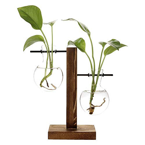 Takefuns Hydroponic Vase Vintage Desktop Plant Terrarium Planter Bulb Glass Vase Water Planting Propagation Stations Libra Planter Hydroponics Plants with Retro Wooden Stand Home Garden Wedding Decor