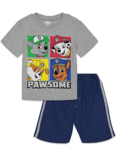 Nickelodeon Paw Patrol Toddler Boys T-Shirt and Mesh Shorts Set 3T Gray