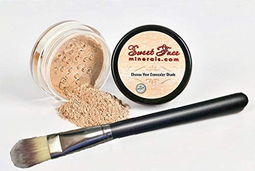 CONCEALER with BRUSH SET Full Size Mineral Makeup Powder Kit Sheer Bare Skin SPF 20 Light Concealer
