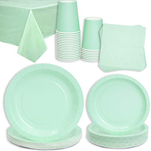 Mint Green Party Bundle, Includes Table Cloth, Cups, Napkins, Dinner and Appetizer Plates Serves 24, 96 Pieces