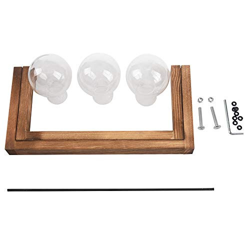 YIZAN Plant Terrarium with Wooden Stand Glass Vase Holder for Home Decoration,Scindapsus Container 3 Terrariums