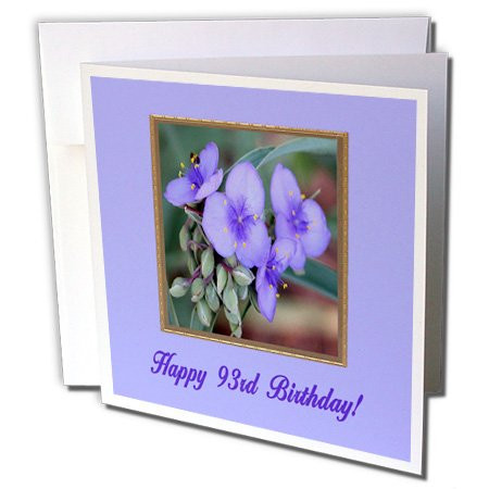 3dRose Purple Spiderwort Flower, Happy 93rd Birthday - Greeting Cards, 6 x 6 inches, set of 6 (gc_77281_1)